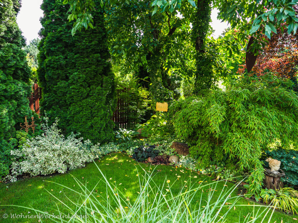 Schattenplatz im Garten mit grünen Pflanzen, Bäumen und Bambus