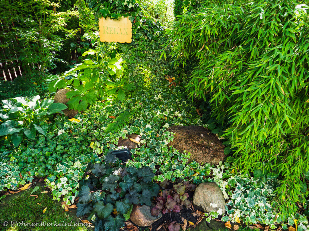 grüner Schattenülatz im Garten mit Steinen und Efeu und Blättern