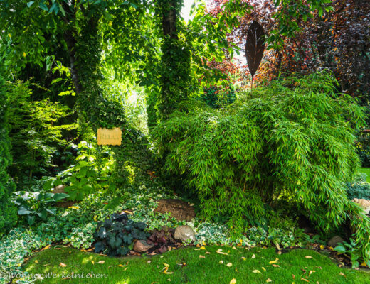 Grüner Schattemplatz im Garten mit Kirschbaum, Bambus