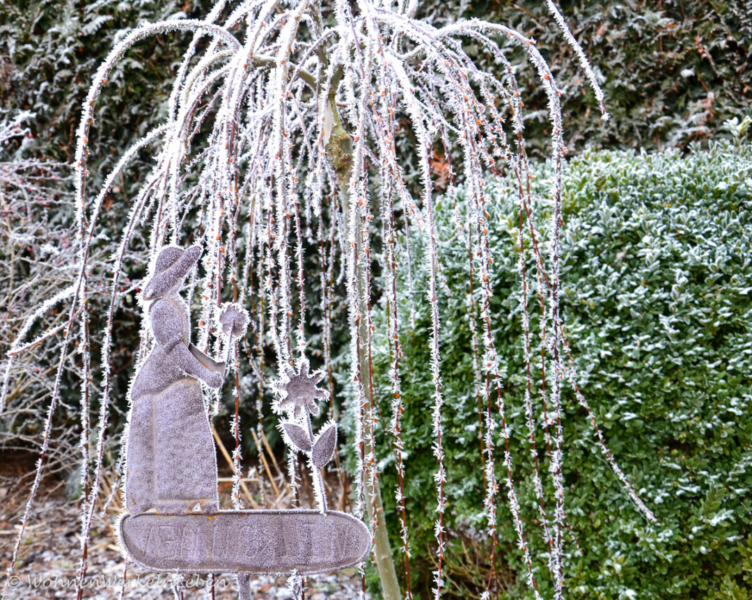 Vereister und verschneiter Garten