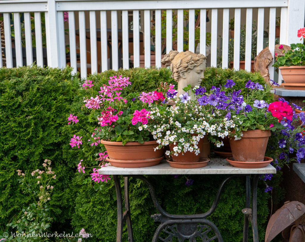 Garten im Sommer mit Nähmaschinentisch, Geranien